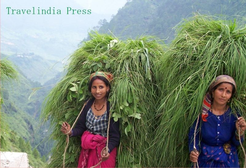 rural-garhwali-women-returning-home